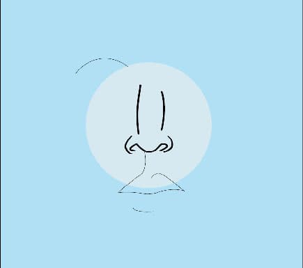 Common Nose Concerns: Wide Nose Bridge - Osteotomy