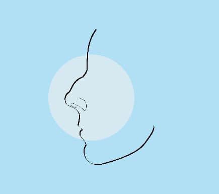 Common Nose Concerns: Hump on Nose